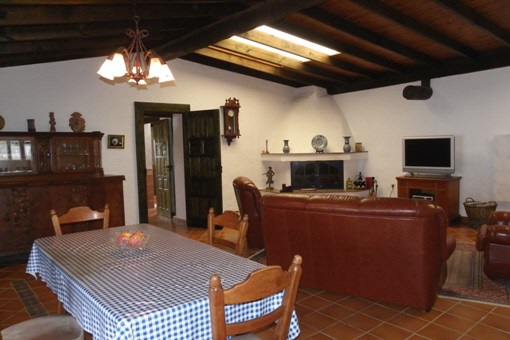 Salón-comedor con chimenea