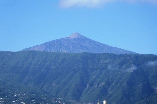 INMOBILIARIA PUERTO CRUZ TENERIFE inmobiliaria puerto cruz tenerife: