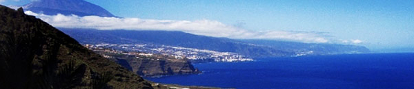 Carrera