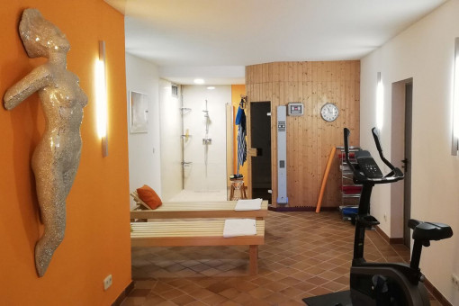 Sauna y gimnasio