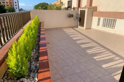 Terraza soleada