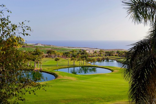 Campo de golf