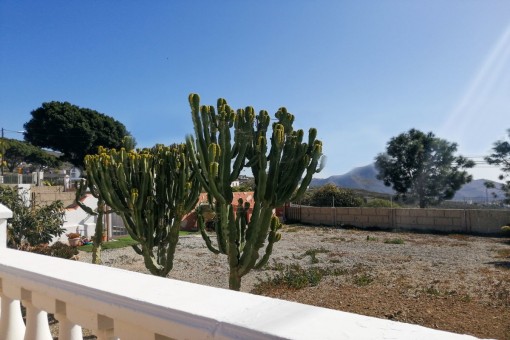 Vista al jardín