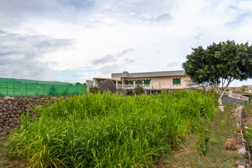 Vista al jardín