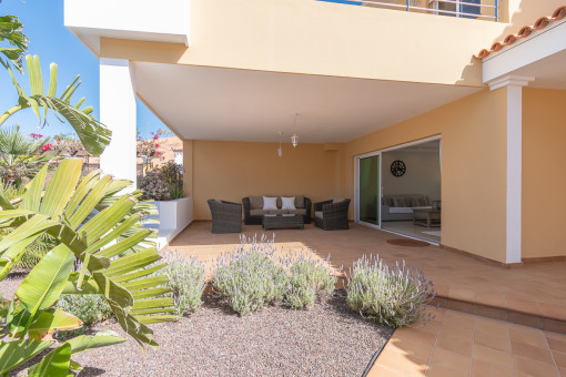 Terraza lateral