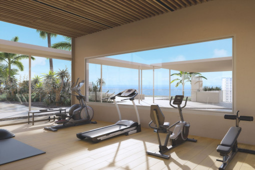 Gimnasio