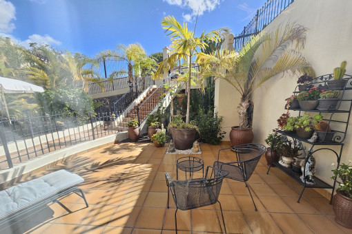 Terraza