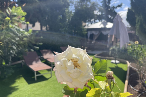 Jardín