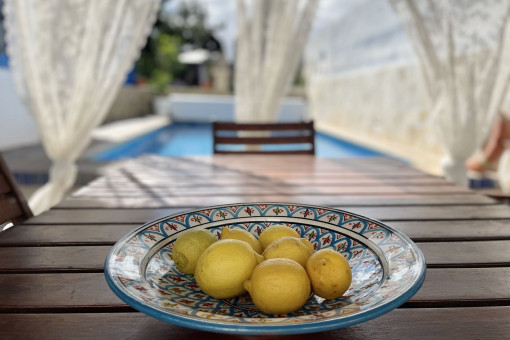 Terraza