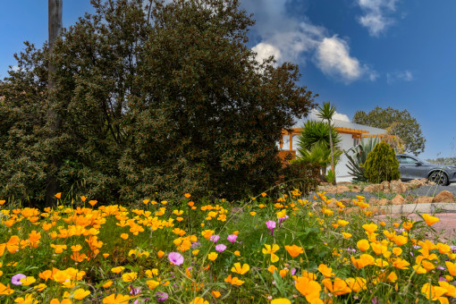 Jardín