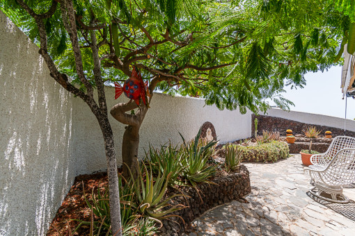 Jardín