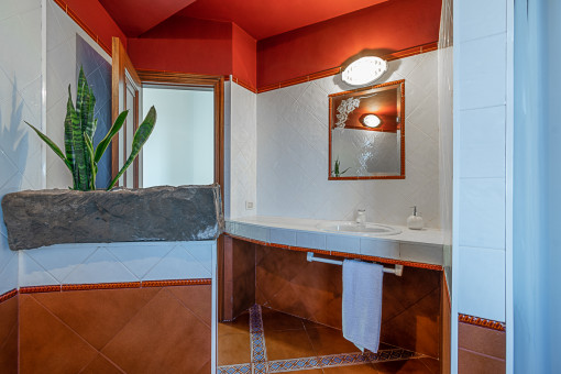Baño