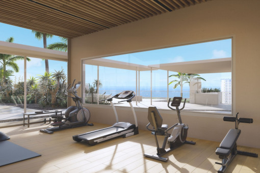 Gimnasio