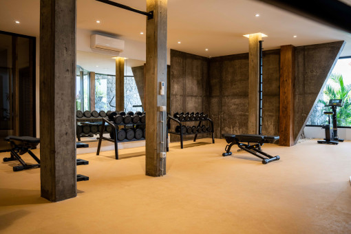 Gimnasio