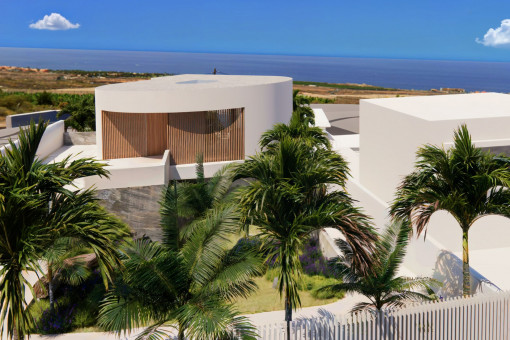 Vistas al pajaro