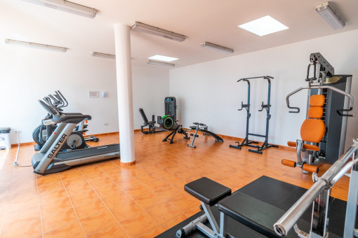 Gimnasio