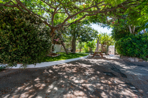 Jardín