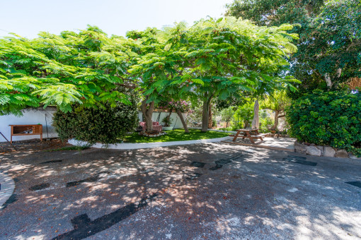 Jardín