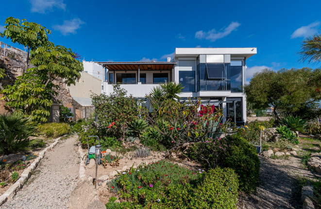 Gran villa independiente con dos apartamentos separados, amplio jardín y jacuzzi en Granadilla