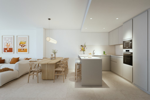 Salón-comedor con cocina