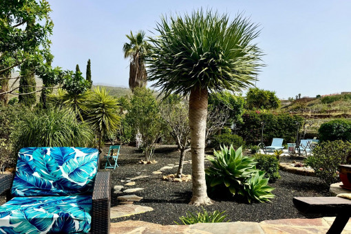Jardín