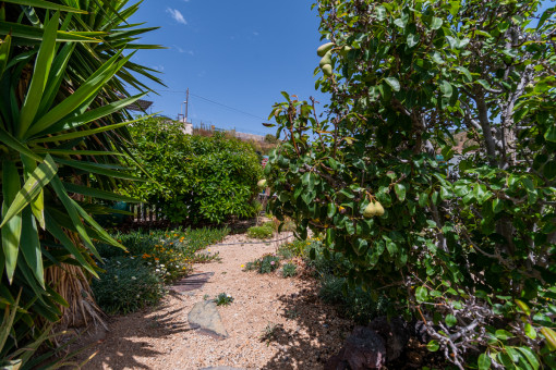 Jardín