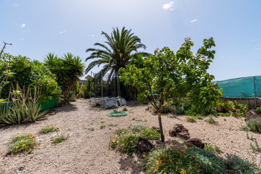 Jardín