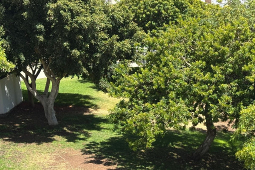 Jardín