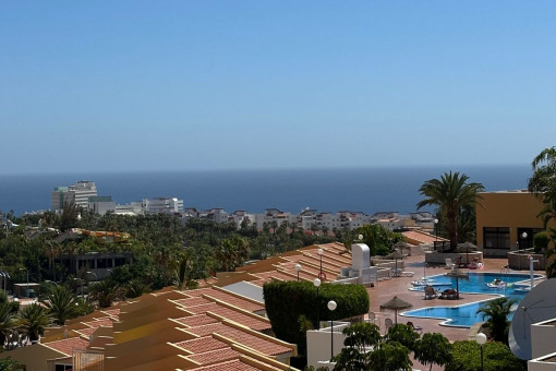 Vistas 