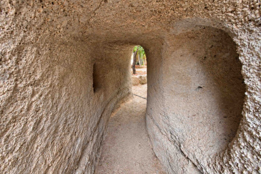 Cueva
