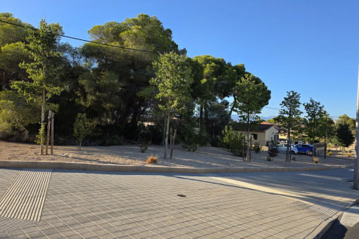 Terreno con licencia