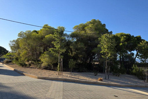 Terreno con licencia