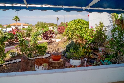 Parte plantada de la terraza