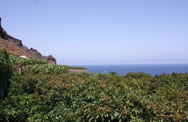 Maravillosa finca en el norte de Tenerife
